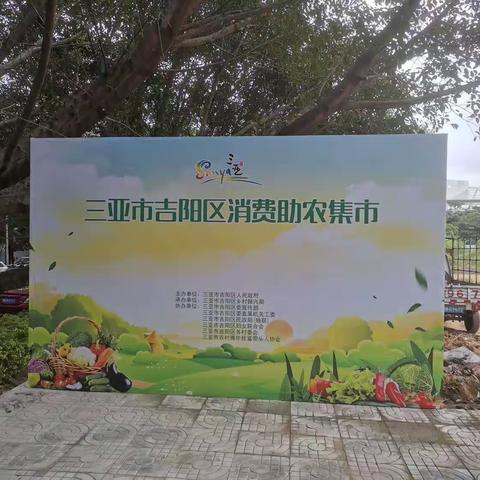 吉阳区消费助农集市活动简报