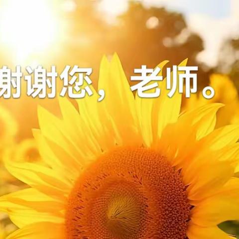 这个冬天很温暖