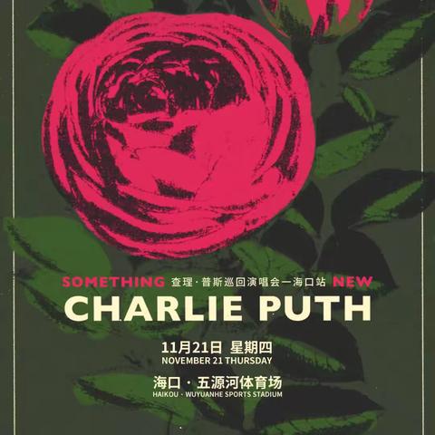 海口市秀英区治安联防大队圆满完成1121查理·普斯 Charlie Puth 世界巡回演唱会-海口站服务保障工作