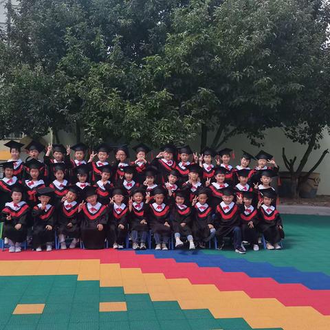 感恩相遇，梦想起航🌱