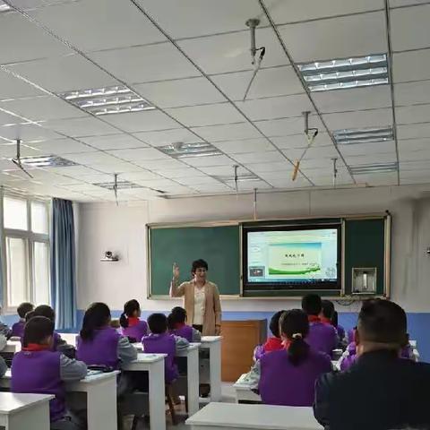 胶州市小学数学基于数学文化的单元统整教学研讨活动