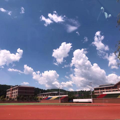 同安区第二实验小学四年级暑假作业