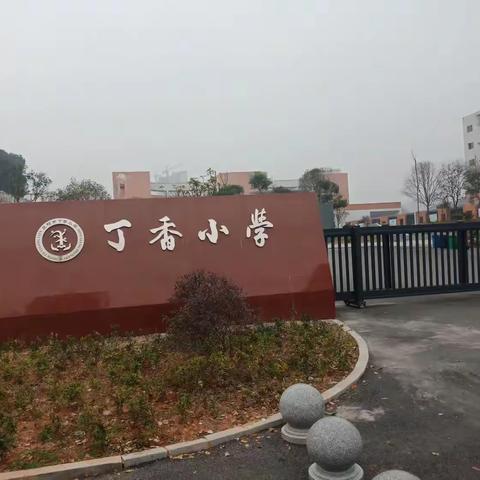 丁香小学四年级2002班劳动实践活动