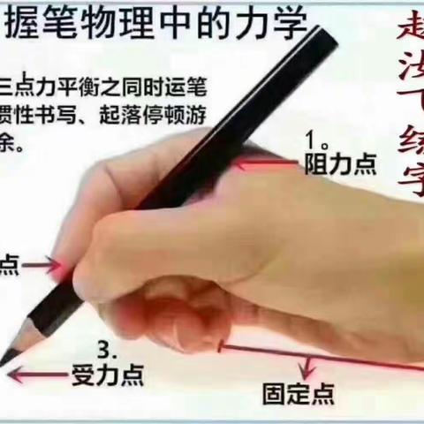 赵汝飞练字2022年暑假班开始报名啦！校区：（1:任营校区2:南大街校区）