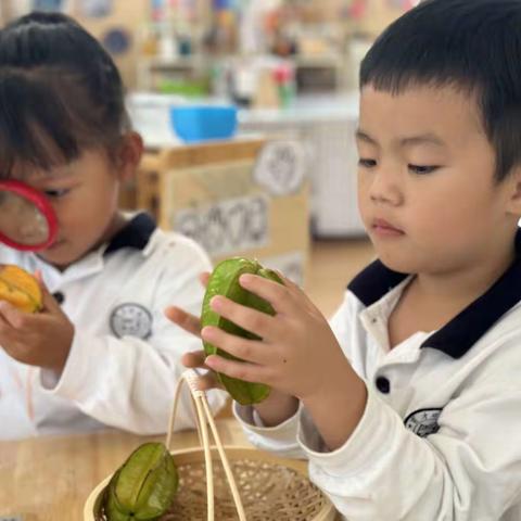 色彩“颜”究所