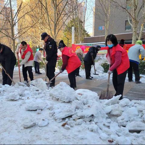 铲冰除雪见行动，社区一线党旗飘