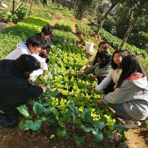 与劳动有个约会