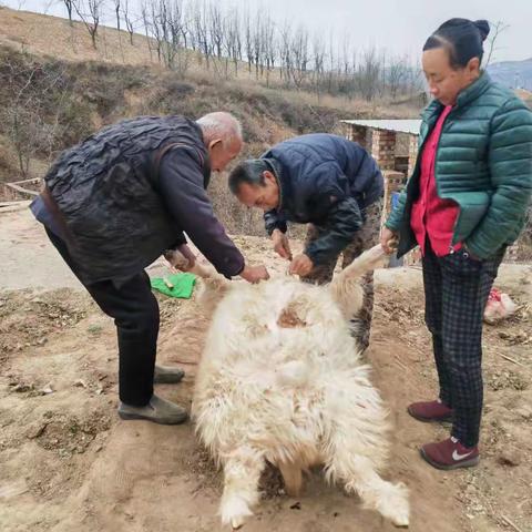 市农发行：消费帮扶促增收，一心为民暖人心