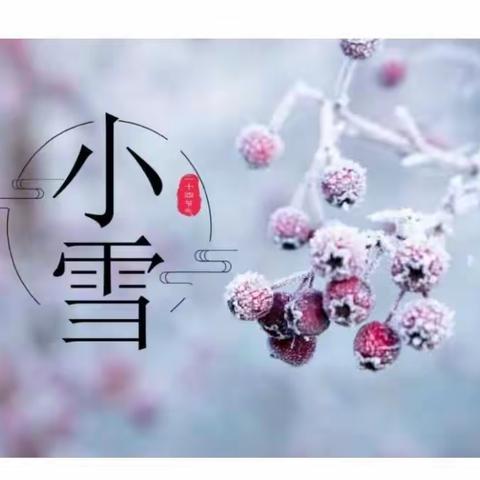 “知时节，迎小雪”———未来星幼儿园节气活动