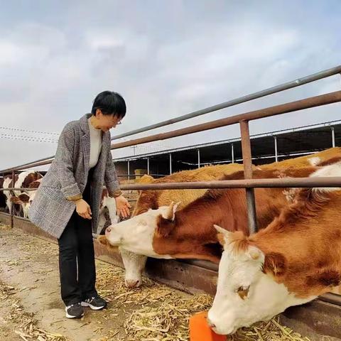 自我介绍