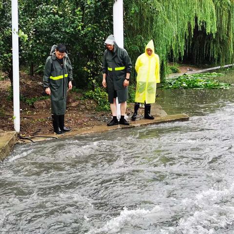 雨一直下，我们一直在！火花街道全力做好防汛工作