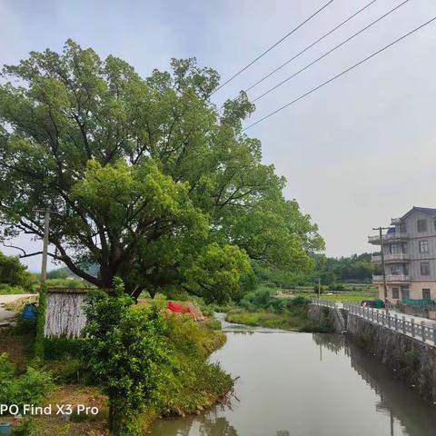 下陈村风景