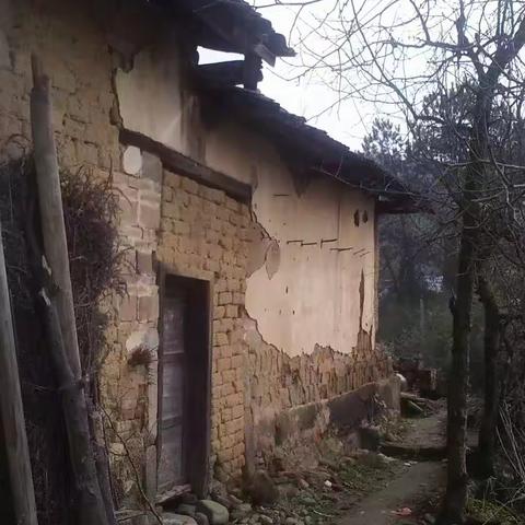 感党恩   旧貌换新颜——小草的成长故事