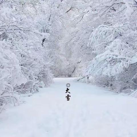 【小福娃研节气—大雪】迎接风雪，报之以歌