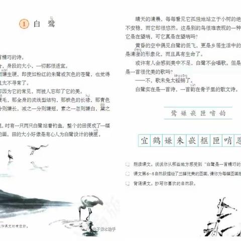 舞动教研旋律，点燃精彩课堂                        ──《白鹭》同课异构活动