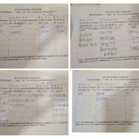 ""我的地盘我做主”农业劳动实践课程教研总结