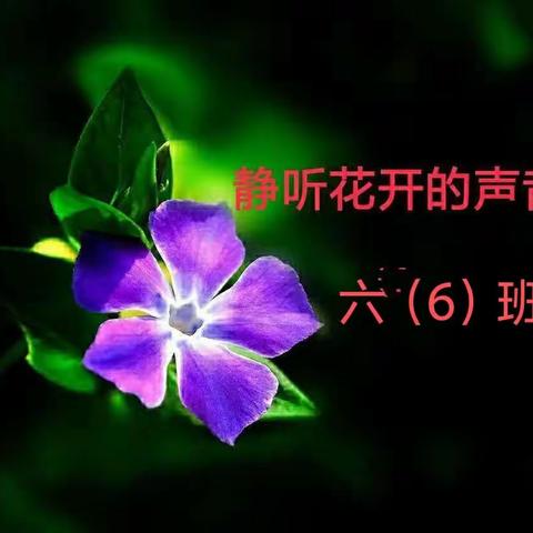 精彩的篮球赛