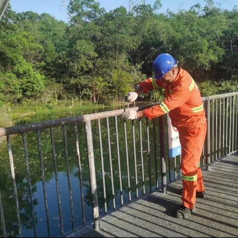 茜坑水库停水检修工作日报