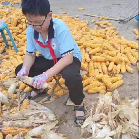 “双减”之下，以“劳”树德，以“劳”育美——大庄镇东孟庄小学劳动教育美篇