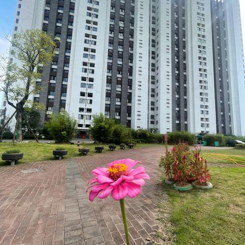 家和美居物业 |恒泰名人岛8月物业服务简报