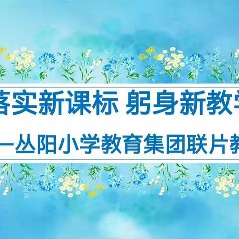 【集团化办学改革进行时】落实新课标 躬身新教学——丛阳小学教育集团数学联片教研