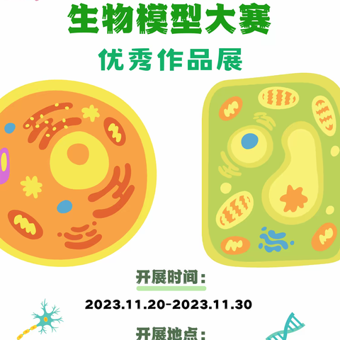 创意生物模型，展现生命之美 ——都安高中举行高一年级生物模型制作大赛