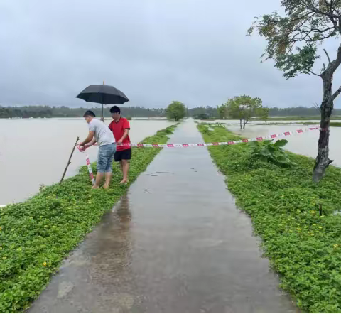 暴雨之中，博鳌镇网格员坚守一线除隐患！