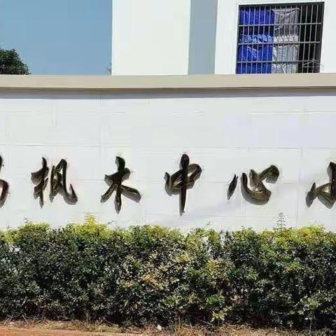 以教研之光照亮教学之路——枫木中心小学第15周教研活动