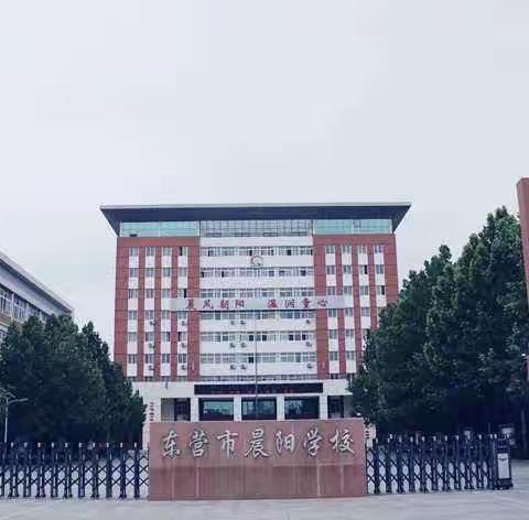 东营市数学学科小学初中学生学习能力衔接专题研讨会在东营市晨阳学校举行