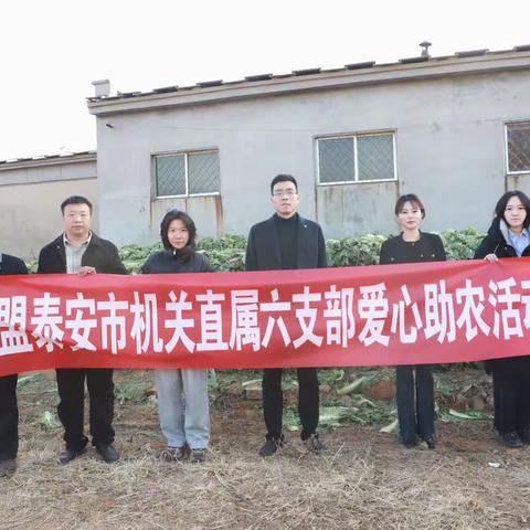 【爱心传递 蔬送温暖】泰安市民盟机关直属六支部开展支农助农活动