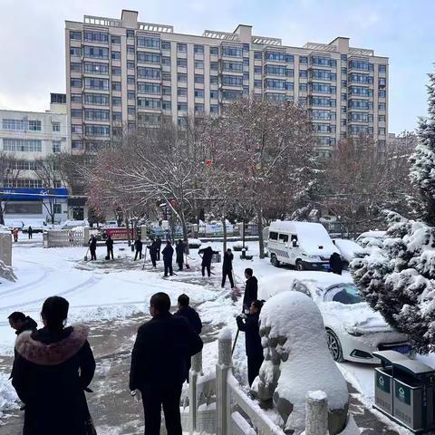 保民生保畅通保平安 龙泉镇迅速行动清理积雪