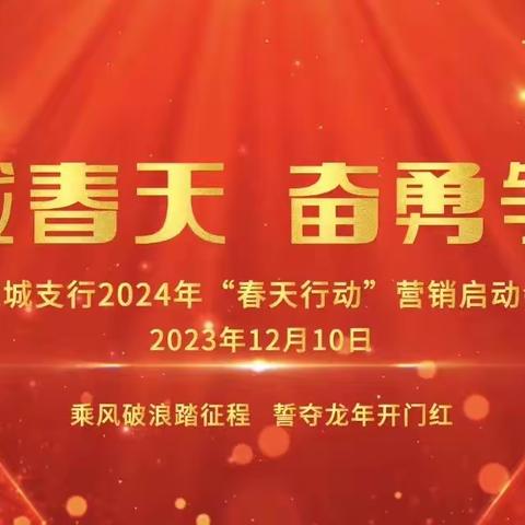 应城支行隆重召开2024年“春天行动”综合营销启动大会