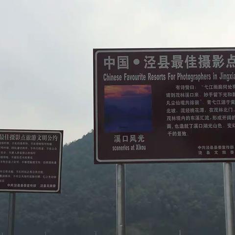 茂林闲游团公开招募