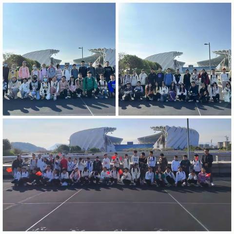 科学科普，Al点亮生活