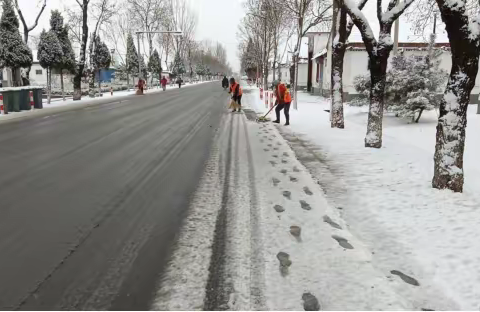 大王庄镇:雪后迅速行动，保障居民安全出行