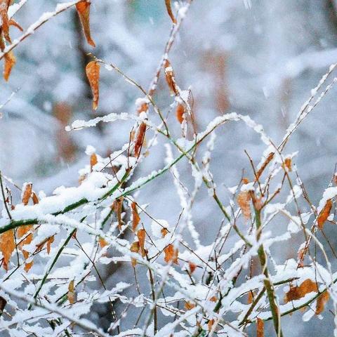 最美天下雪，最暖扫雪人