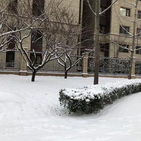 大雪如约而至美如画，物业扫雪除冰暖人心
