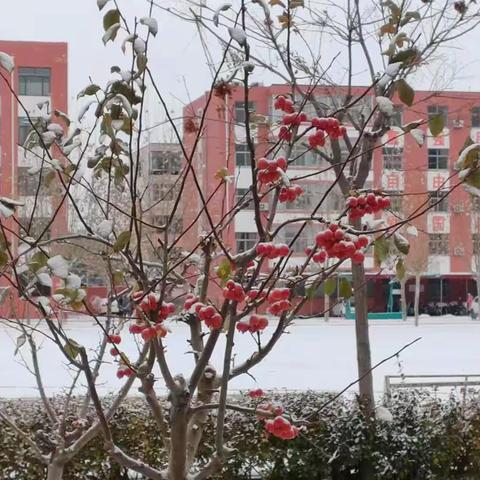 初雪践初心 除雪暖人心——记解放小学教师扫雪活动