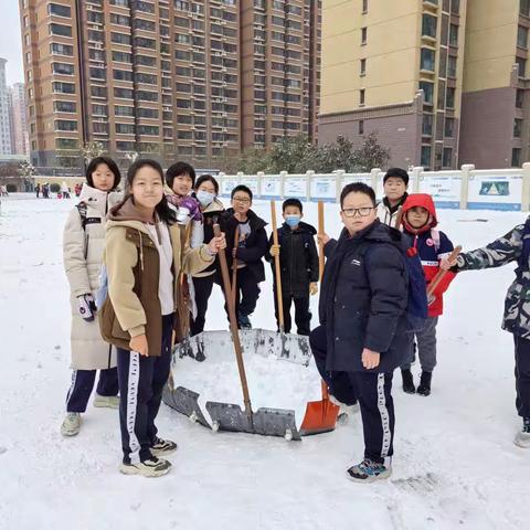 雪后清理——友谊大街小学六年级（12）班