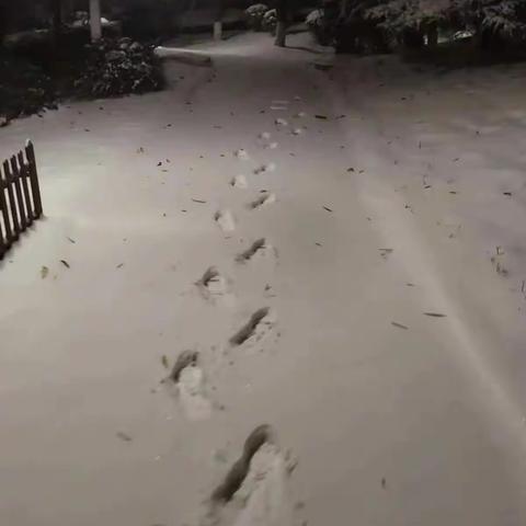 闻雪而动 清扫积雪暖人心