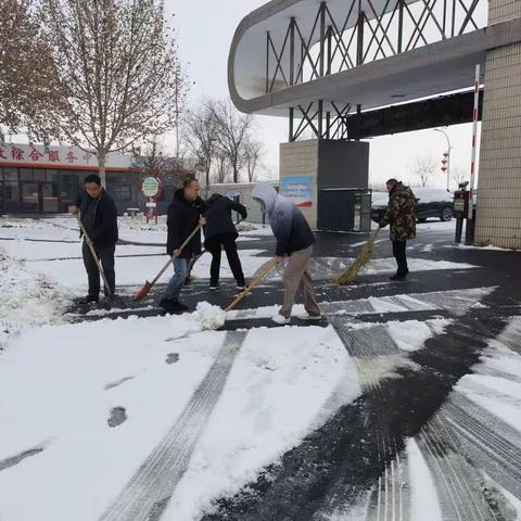 桃园镇开展“清扫积雪，安全出行”大清扫活动