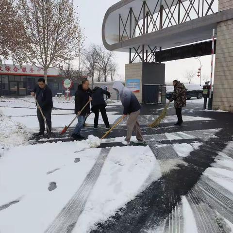桃园镇开展“清扫积雪，安全出行”大清扫活动