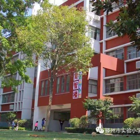 “荆”彩数学——实验小学二年级一部“认识方向”数学特色活动。