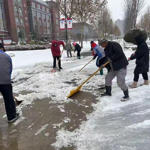 下的是雪 暖的是心