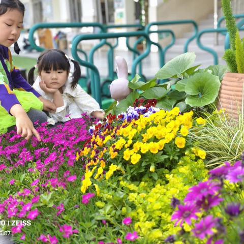 幼儿发展性评价手册读后感