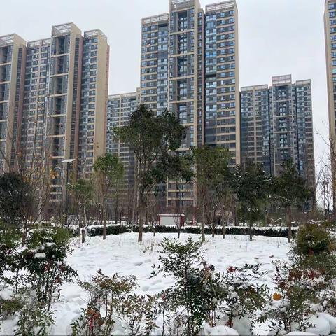 圃田嘉园北院全员清扫🧹园区积雪❄️