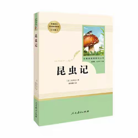 聆听昆虫秘语 探索生命意趣——赣州七中八年级语文法布尔《昆虫记》思维导图及知识卡片制作活动