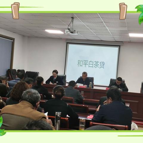 绿色金融广宣传   白茶贷款惠茶农