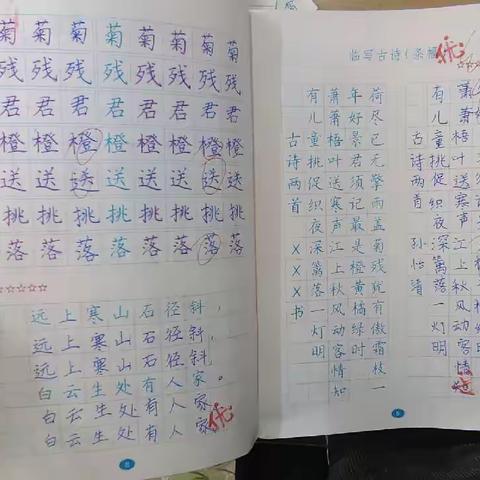 刚入三年级钢笔字书写展示