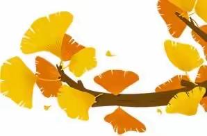 遇见银杏，落叶成画